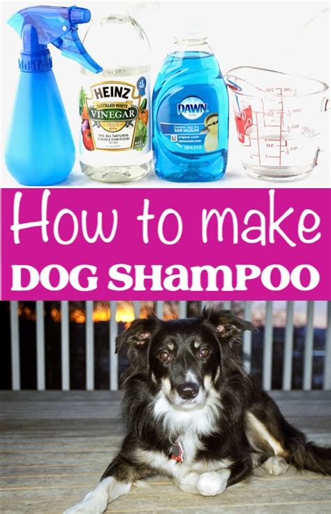 How to transform your dog into a true cowboy with our magical dog shampoo